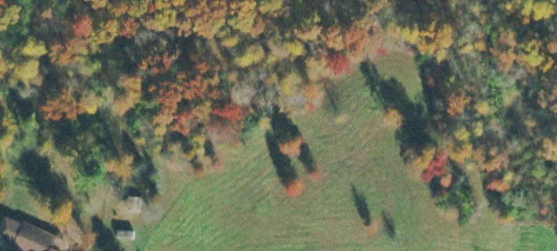 Land on Coal Bank Road