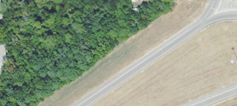 Cleared Land in D'Iberville