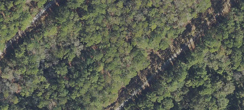 Land For Sale Georgetown