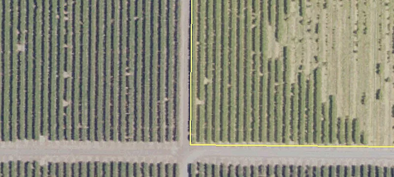 Yolo County Agricultural Land Opportunity
