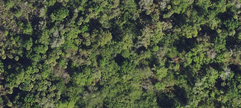 Land Available in Naples, Florida