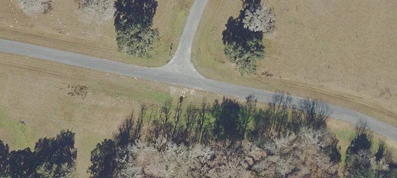 Land For Sale in Ocala