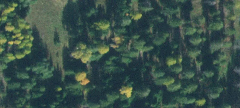 Land Near Templeman Lake