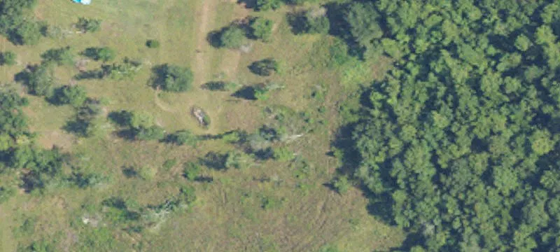 Land on County Road 36