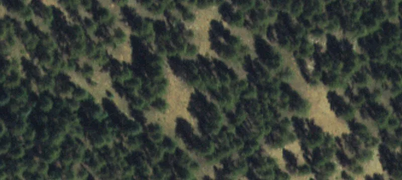 Land For Sale in Pine