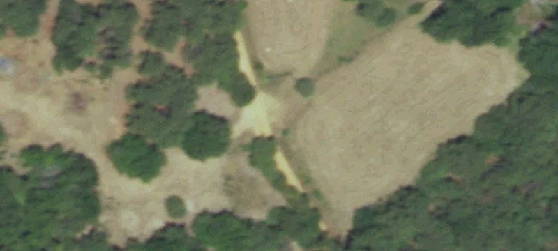 Grapeland Land For Sale