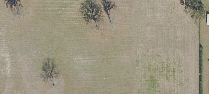 Ocala Land For Sale