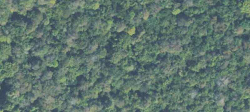 Land For Sale in Macon