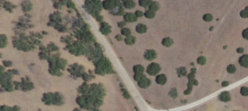 Land on County Road