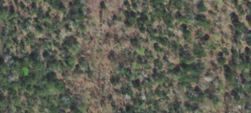 Land for Sale in Madisonville