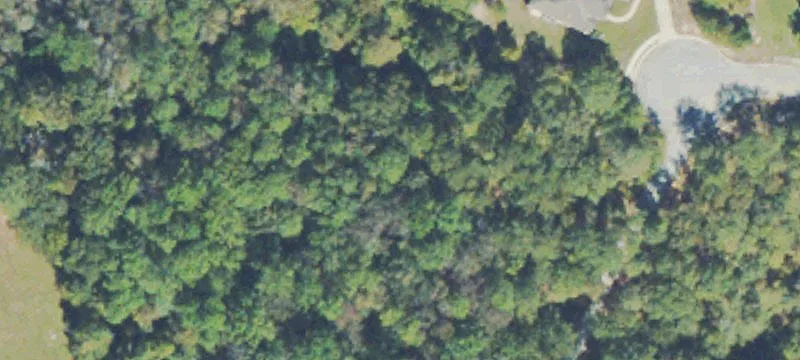 Residential Lot in Macon, GA