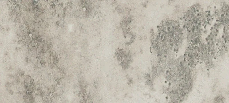 Land for Sale in Beryl