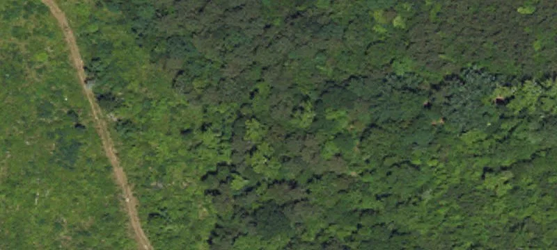 Prime Land in Siler City