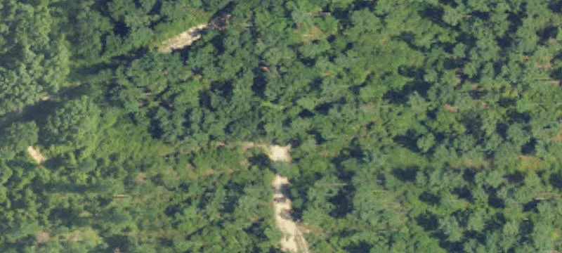 Land with Cabin in Elberta