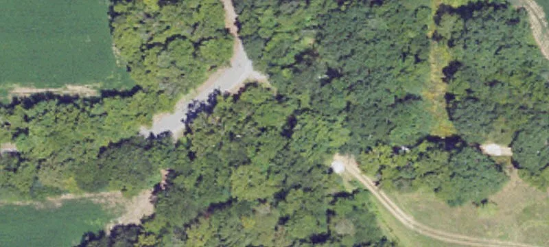 Land For Sale Princeton, AL