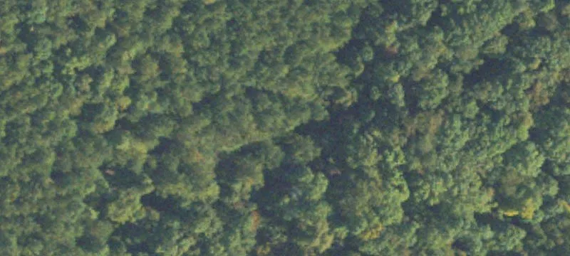 Land For Sale Calhoun, GA