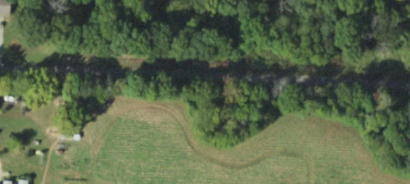 Land For Sale in Cisne
