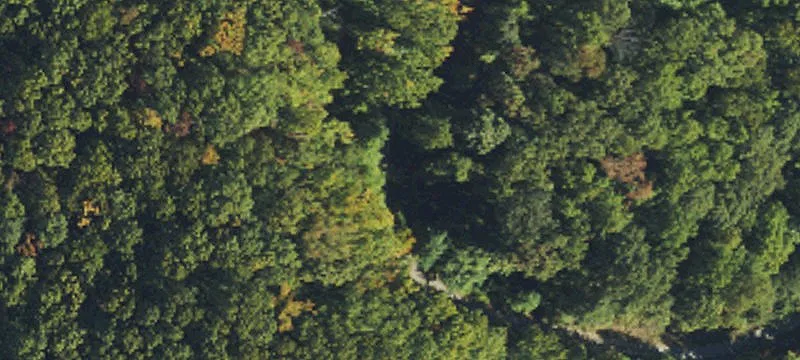Land For Sale Hayesville, NC