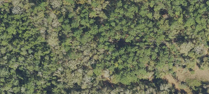 Land on Mobile Highway
