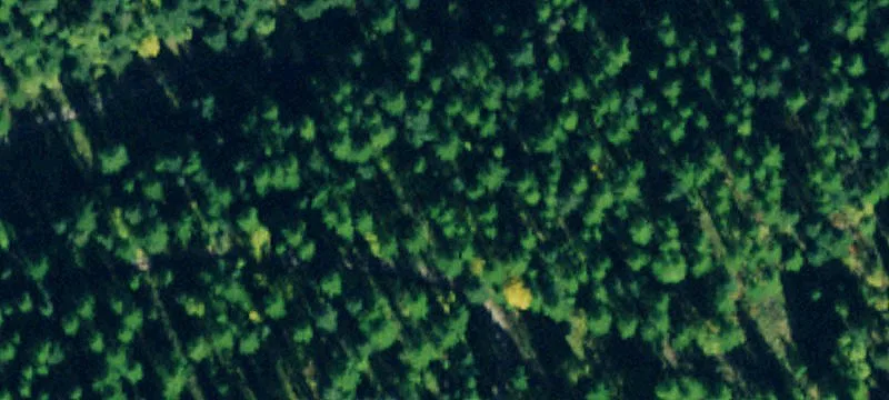 60-Acre Parcel with Lake Views