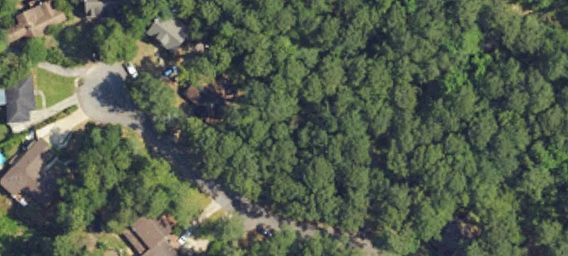 Wooded Lot in Lake Forest