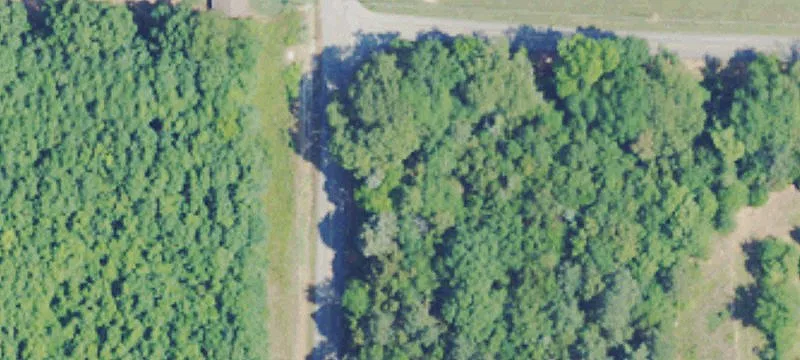 Versatile Rogersville Property with Acreage