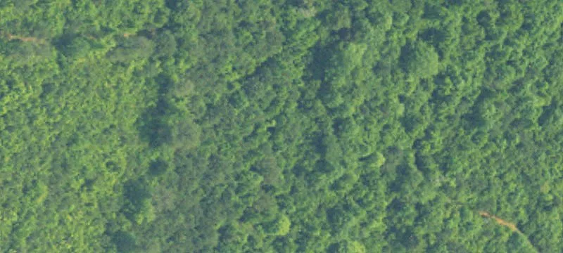 Hunter's Paradise: Varied Acreage
