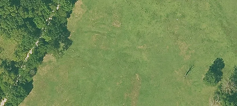 Pasture Land with Mountain Views