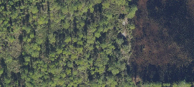 Wooded Lot Near St. Johns River