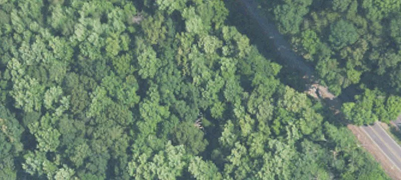 Undeveloped Land Near Birmingham