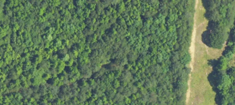 Double Lot Near Smith Lake