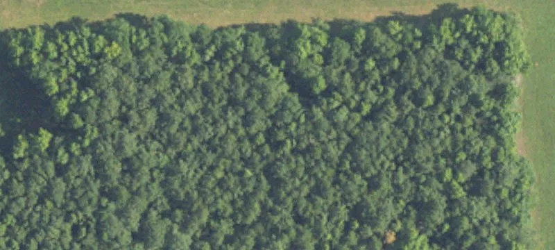 Residential Land in Eden Area