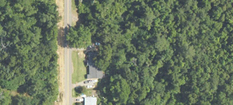 Heavily Wooded Acres in Belforest