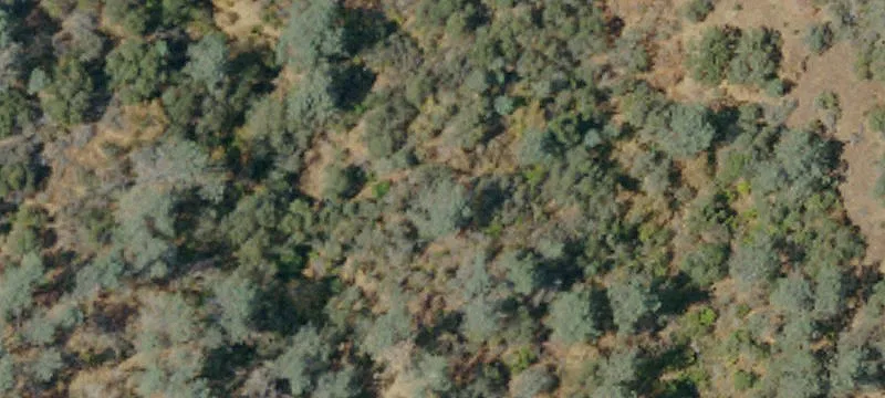 Secluded Land for Home Construction