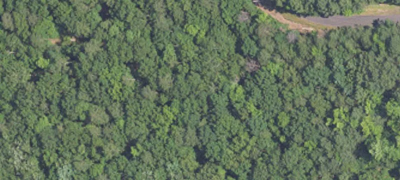 Wooded Lot Near Birmingham