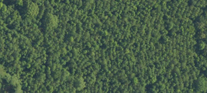 Riverview Landing Land For Sale