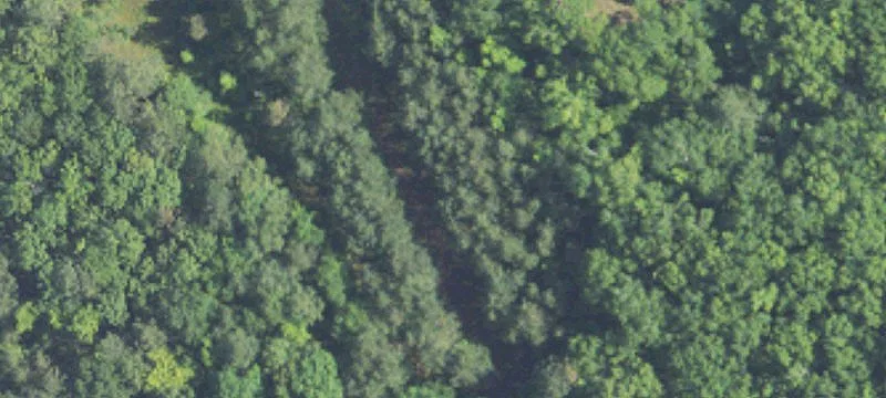 Recreational Land with Timber