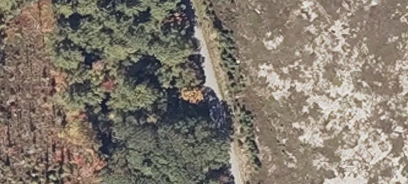188 Acres of Wooded Land
