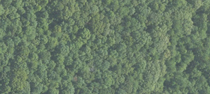 Cleared Land Near Community Amenities