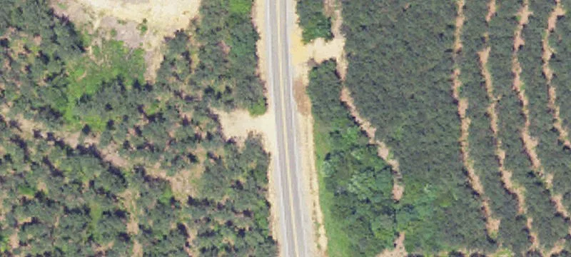 Land Parcel in Northport, AL