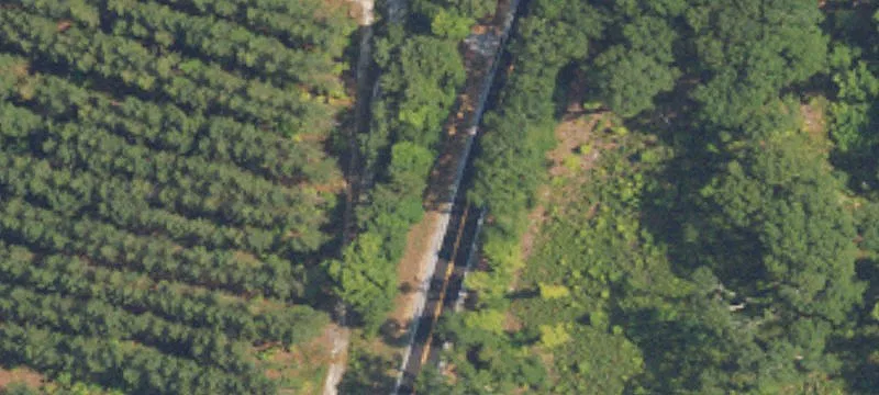 Ramer, AL Land with Timber