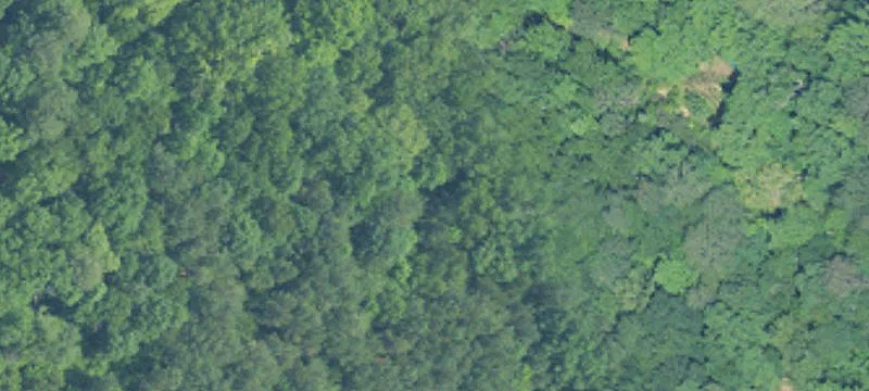 Land For Sale Houston, AL