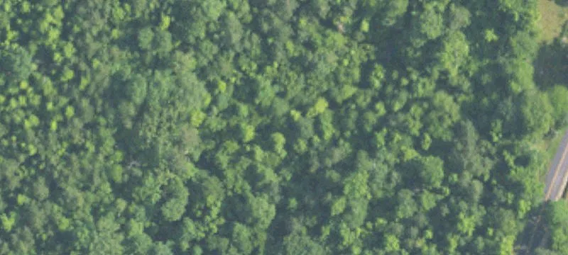Residential Lots in Pine Mtn