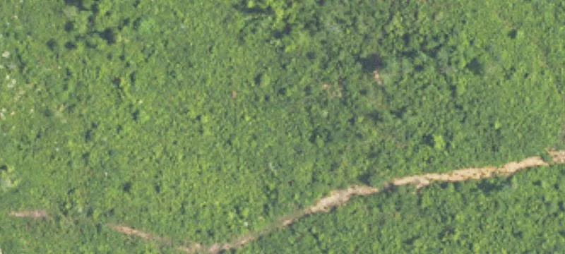 20 Acres of Level Land