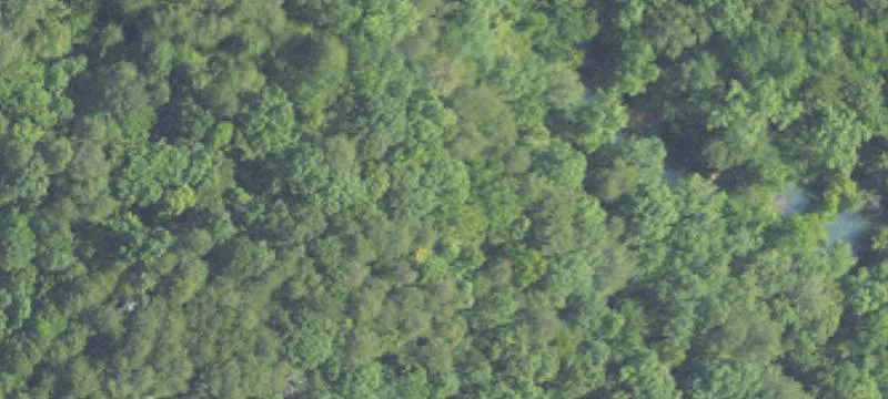 Land with Creek Access