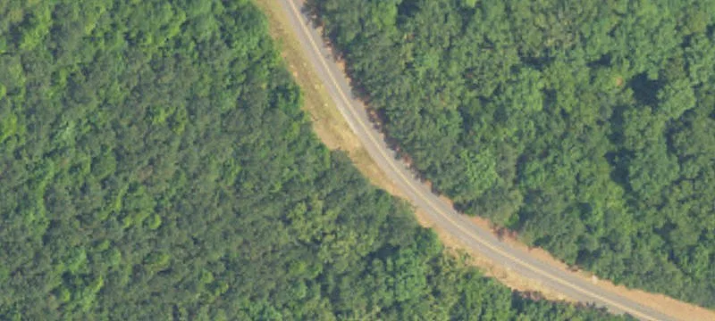 Residential Land with Mature Trees