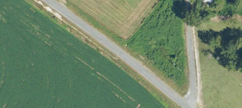 Wooded Lot for Sale