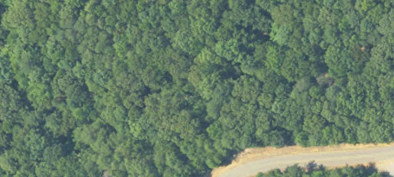 Residential Land in Tuscaloosa