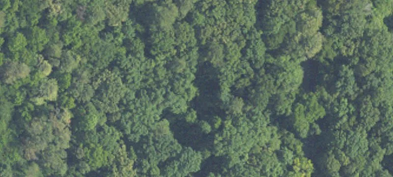 Residential Land in Pinson, Alabama