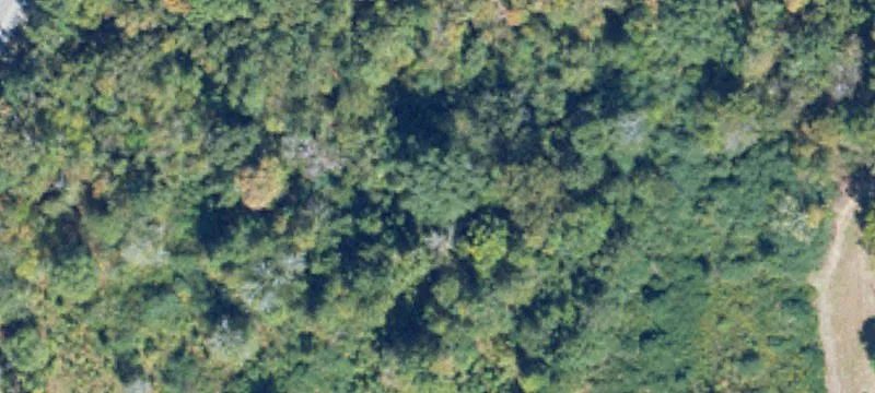 Unrestricted Corner Lot with Utilities